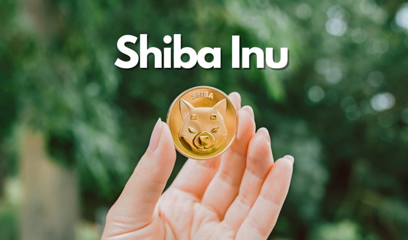 Shiba Inu