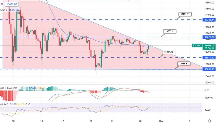 Bitcoin to Rebound Over $16,000 - Quick Daily Outlook