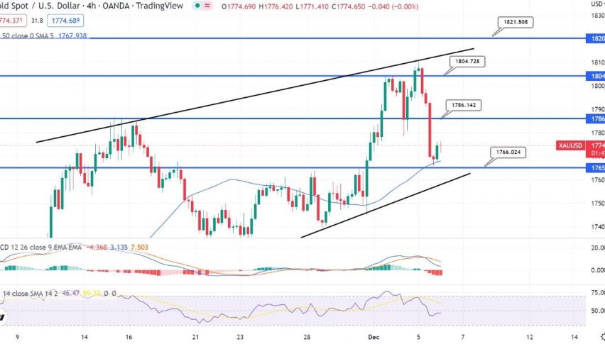 Gold Gains Support at $1,765 - Brace for a Buying Position!