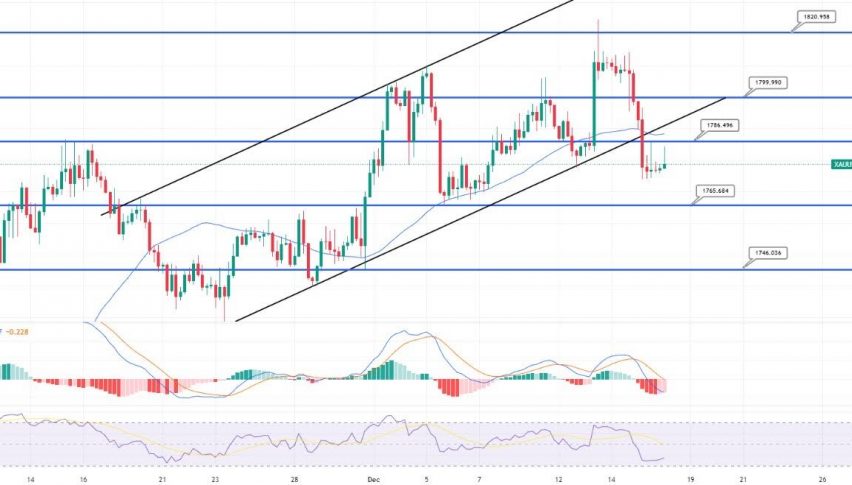 Gold Regains Support at $1,775 - Time to Buy?