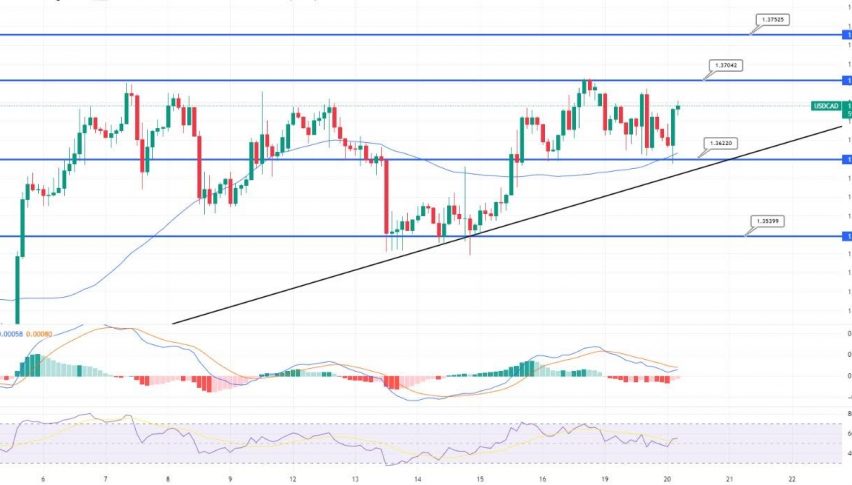 USD/CAD Heading North - Is It a Good Buy?