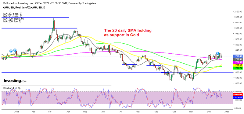 Gold remains bullish while risk assets have stopped