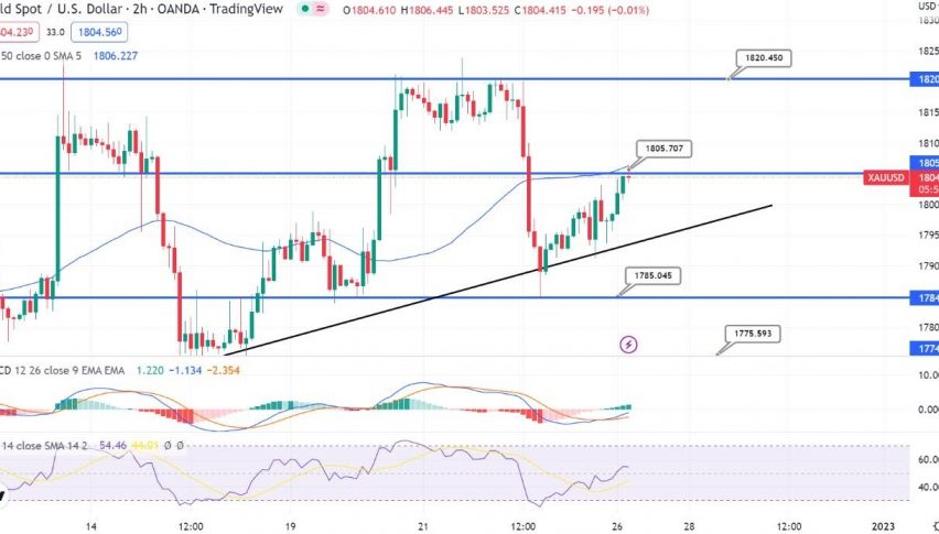 Gold Pumps to $1,805 - 50 Days EMA to Extend Resistance
