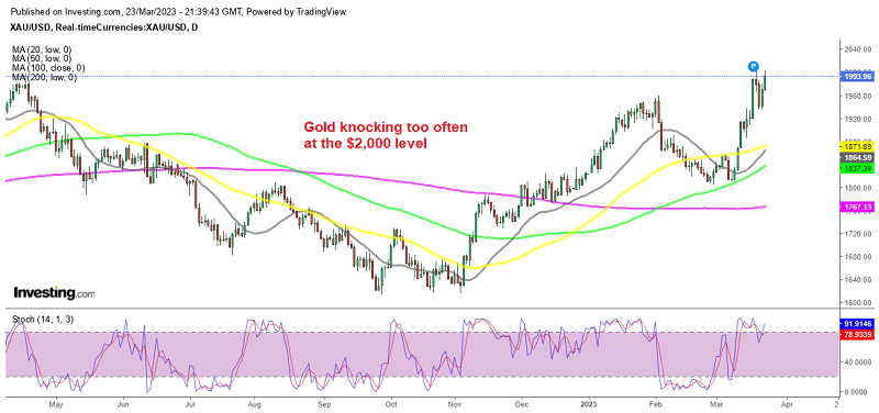 Buyers keeping the pressure on in Gold
