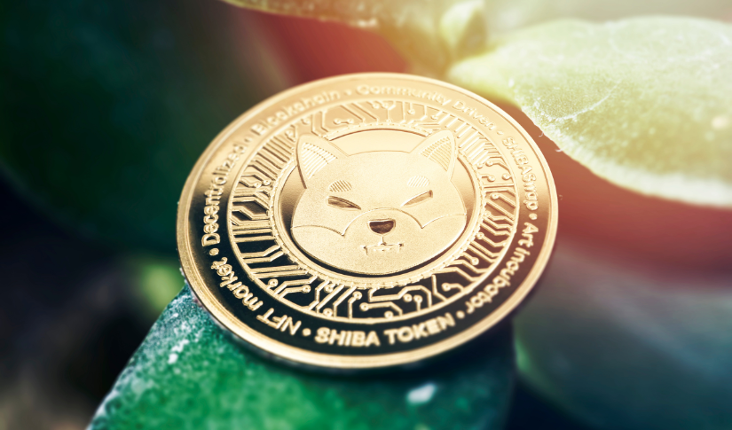 Shiba Inu