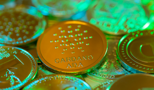 Cardano