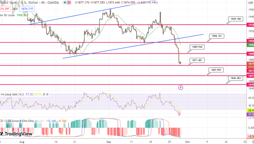 Gold’s Price Decline: Analyzing Key Drivers and Future Projections