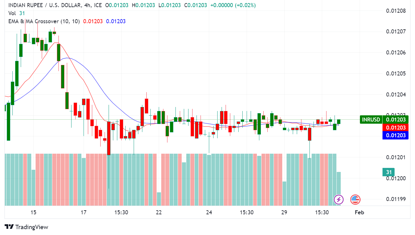 India's Interim Budget: A Tightrope Walk with Global Markets Watching
