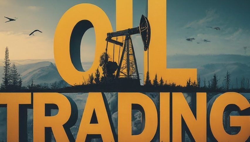 Oil Trading Brokers