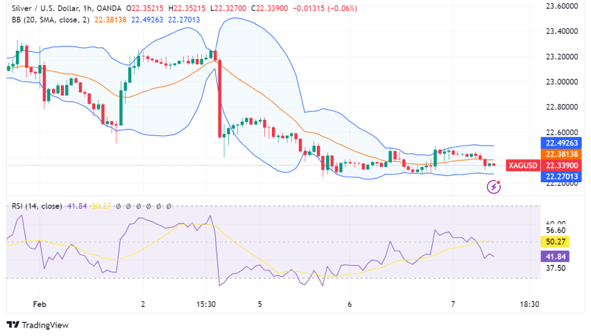 Silver Shines Brighter: Can it Outperform Gold in 2024?