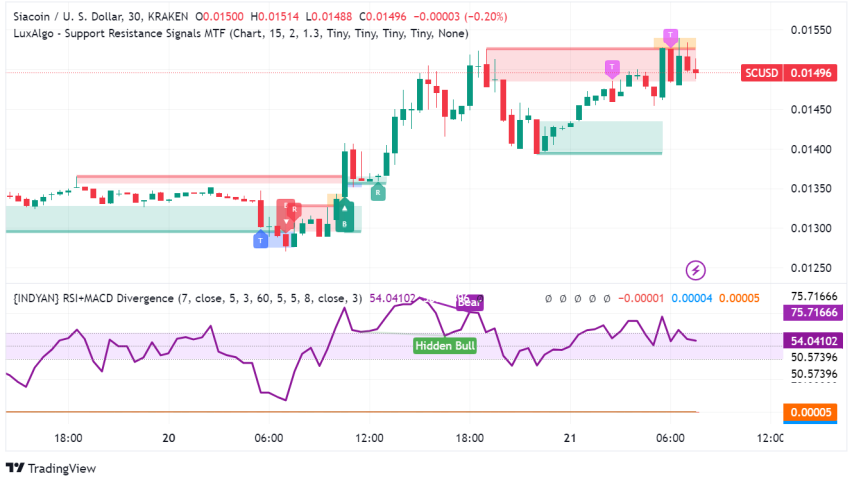 Siacoin Skyrockets 17%: Decentralized Storage Solution or Short-Lived Hype?