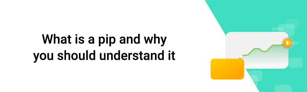 What is a pip calculator What is a pip calculator