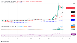 COTI Skyrockets Over 100% on Innovative Privacy Technology and Business-Friendly Solutions