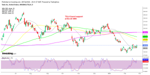 Tesla stock gained nearly $10 today