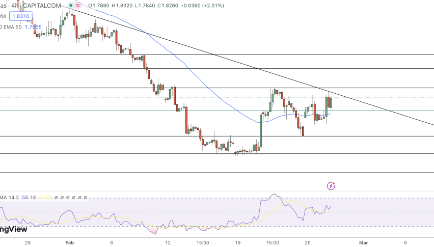 Natural Gas Price Chart