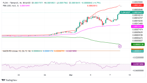 Floki's Meteoric Rise: A Comprehensive Analysis