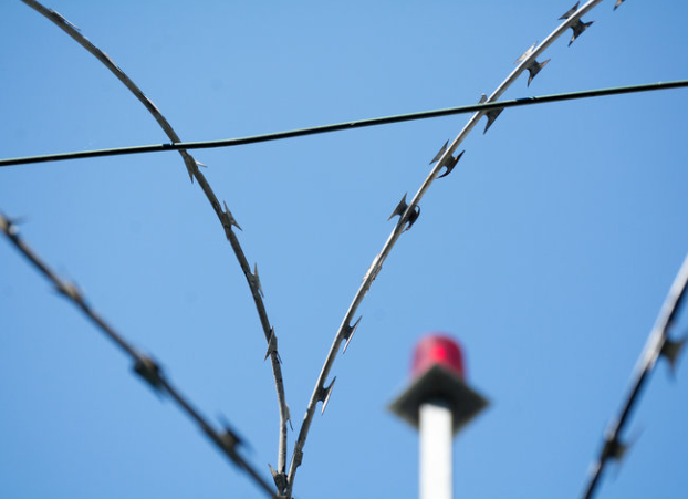 Protect forex scams Protect forex scams