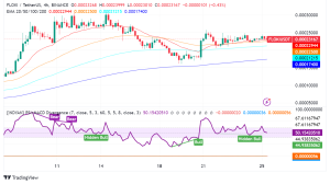 Floki Inu Unveils 2024 Roadmap: Digital Banking, DeFi Integration, and Metaverse Expansion