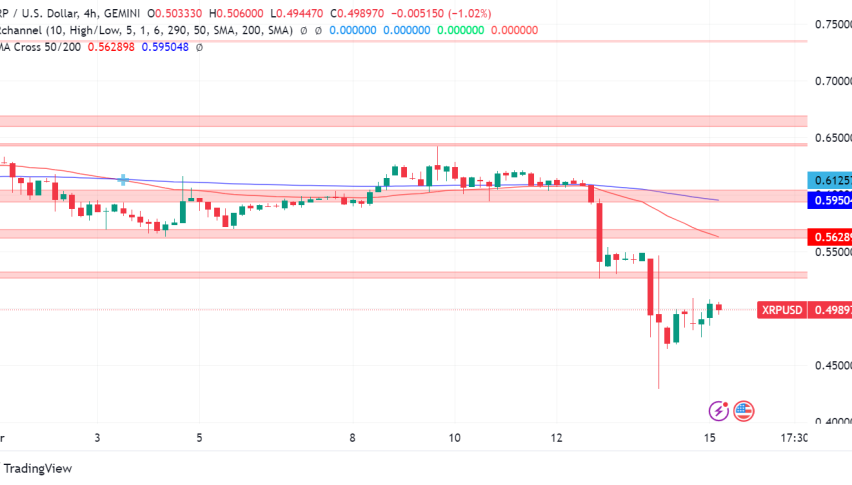 XRP Price Rollercoaster: Can it Recover From Recent Plunge?