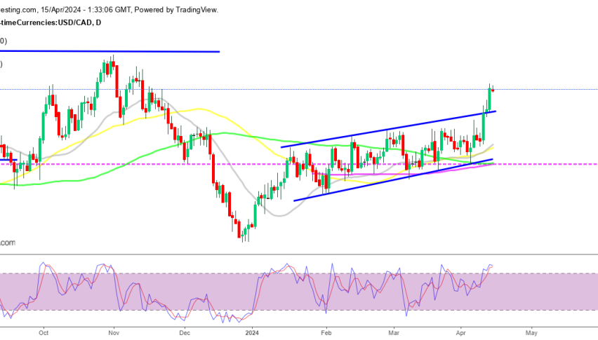 USD/CAD Daily Chart