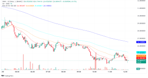 Omni Network Airdrop Triggers Token Price Plunge and Fake Token Scam