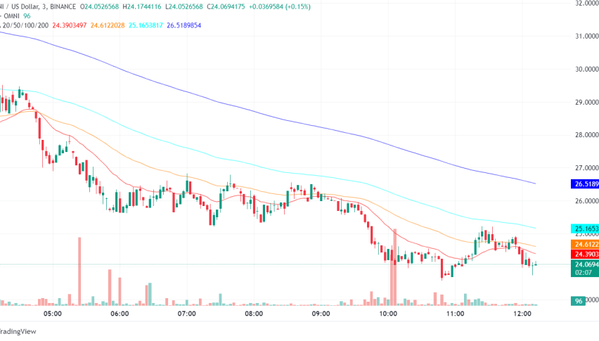 Omni Network Airdrop Triggers Token Price Plunge and Fake Token Scam