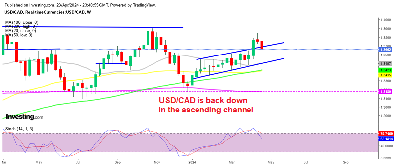 USD/CAD Weekly Chart