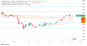 NEAR Protocol Soars on AI Hype and Ecosystem Growth