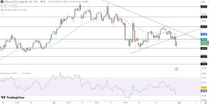 WTI Crude Price Chart - Source: Tradingview
