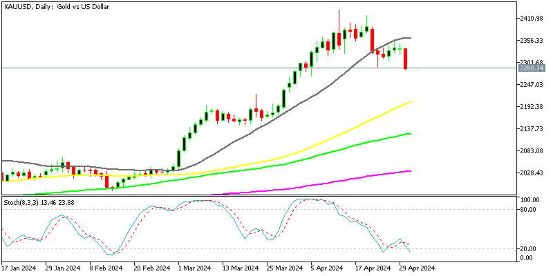 Gold Daily Chart
