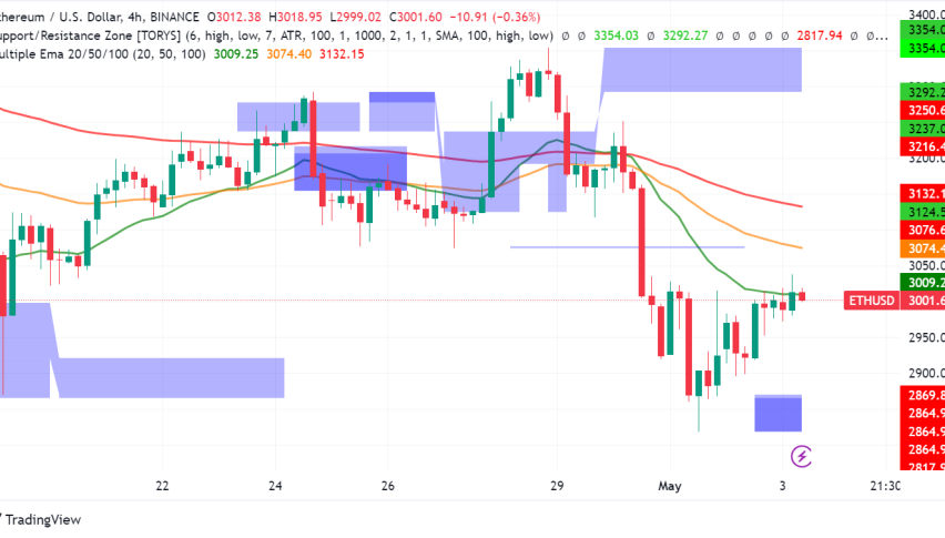 Ethereum: A Tale of Two Trends - New Users and Whale Influence