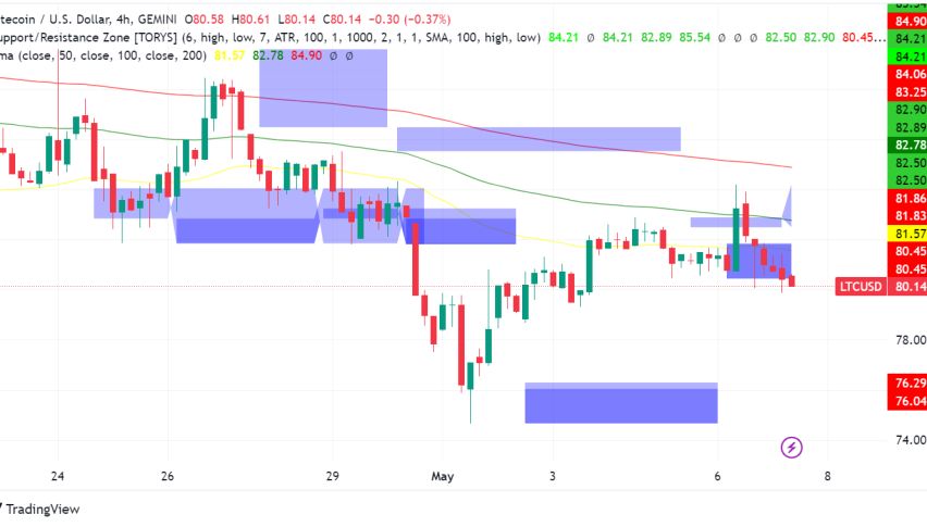 Litecoin: Whales Accumulate Despite Market Dip, Signaling Potential Rebound