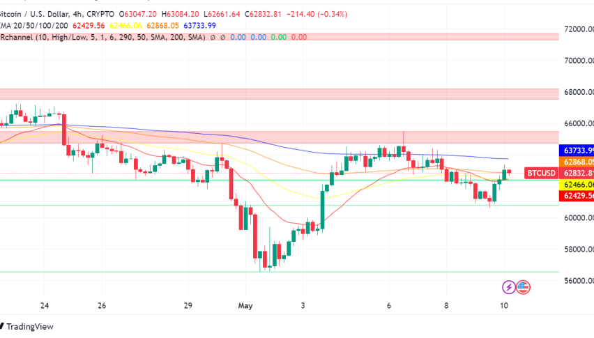 Bitcoin Price Stalls Despite Bullish Signals: Whales Accumulate, On-Chain Data Paints Positive Picture