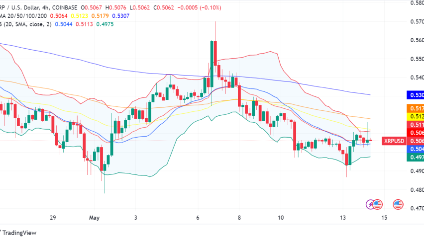 XRP: A Token in Tumultuous Times - Legal Battles, Whale Movements, and Bullish Predictions