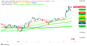 Memecoin Mania Strikes Again: Pepe (PEPE) Surges to New All-Time High