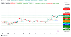Floki Inu Soars on Token Burn, Exchange Listings, and Growing Utility