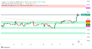 Litecoin: Whale Activity Hints at Bullish Future, But Price Remains Stuck Under $90