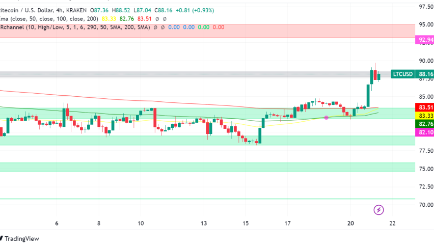 Litecoin: Whale Activity Hints at Bullish Future, But Price Remains Stuck Under $90