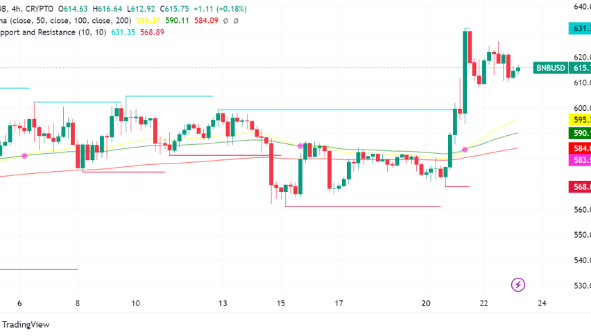 Binance Wins Legal Battle in Florida, BNB Price Soars