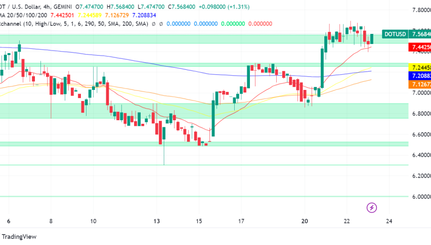 Polkadot Price Stages Recovery