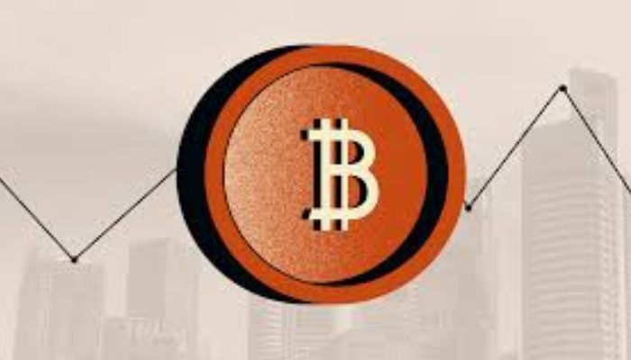 Bitcoin Whales