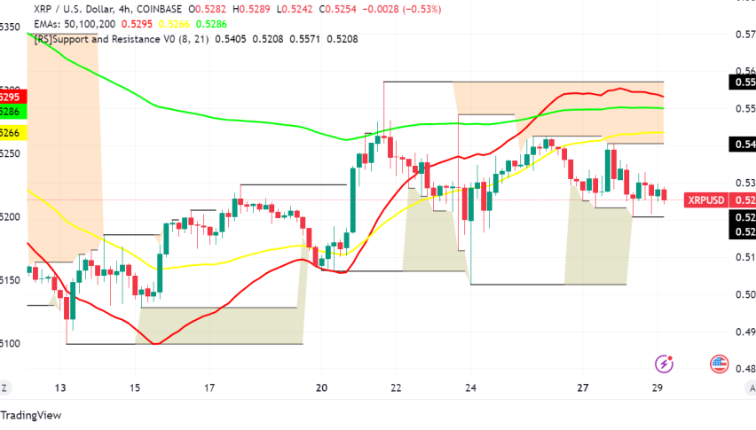 XRP: Legal Battles, Bullish Bets, and a Potential Breakout