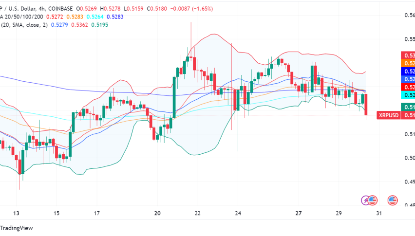 Ripple Battles SEC in Court, XRP Price Feels the Heat