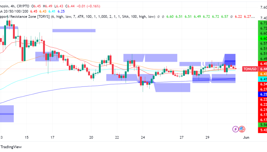 Toncoin (TON): Whales Accumulate Despite Potential Short-Term Dip