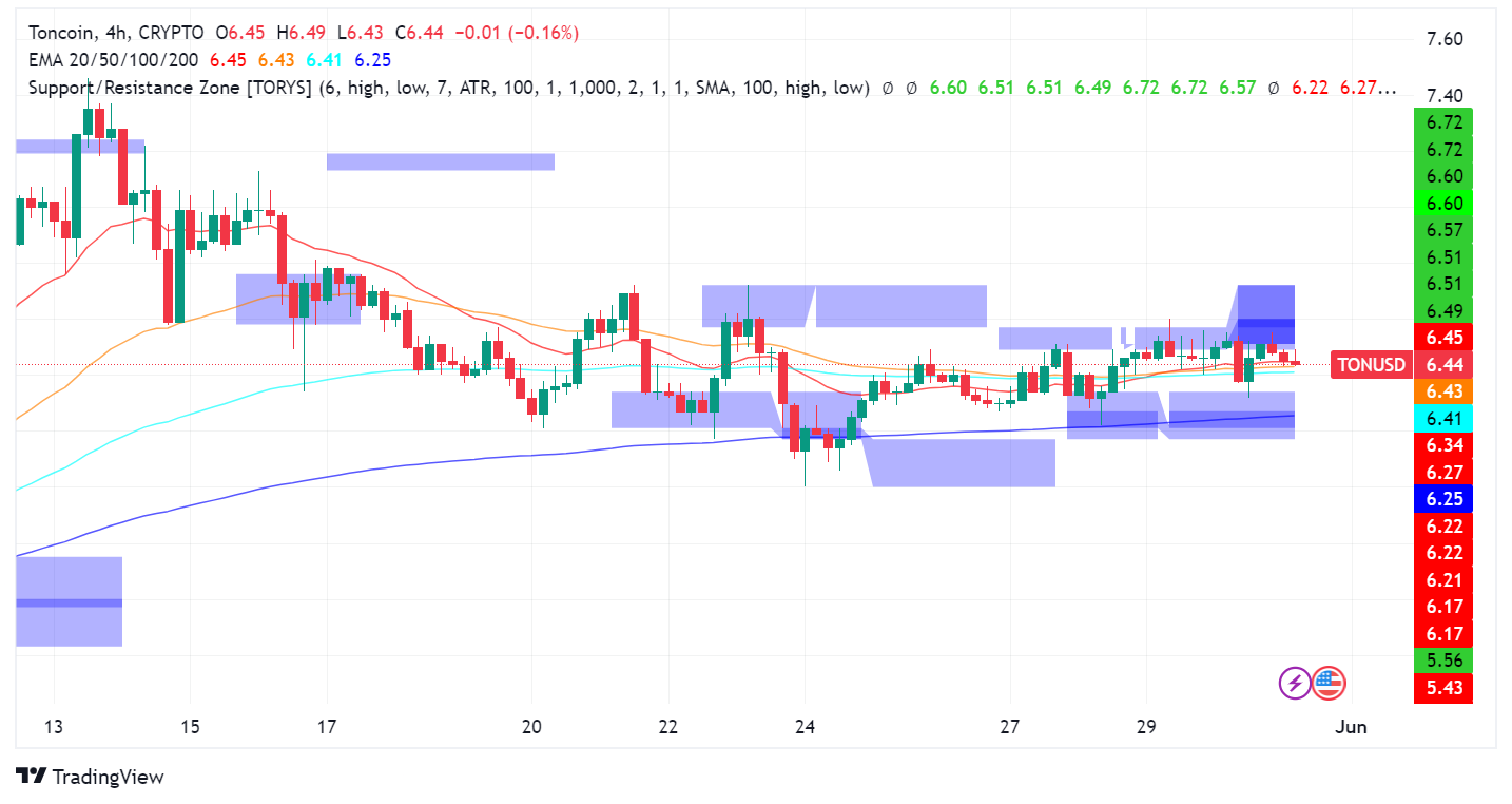 Toncoin (TON): Whales Accumulate Despite Potential Short-Term Dip