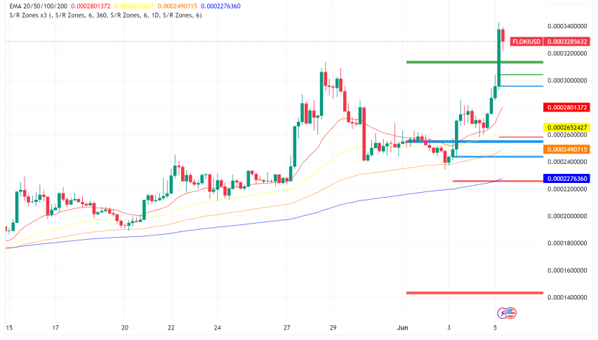 Floki Rallies Despite Price Hiccup: DWF Labs Pumps $12M, Metaverse on Horizon