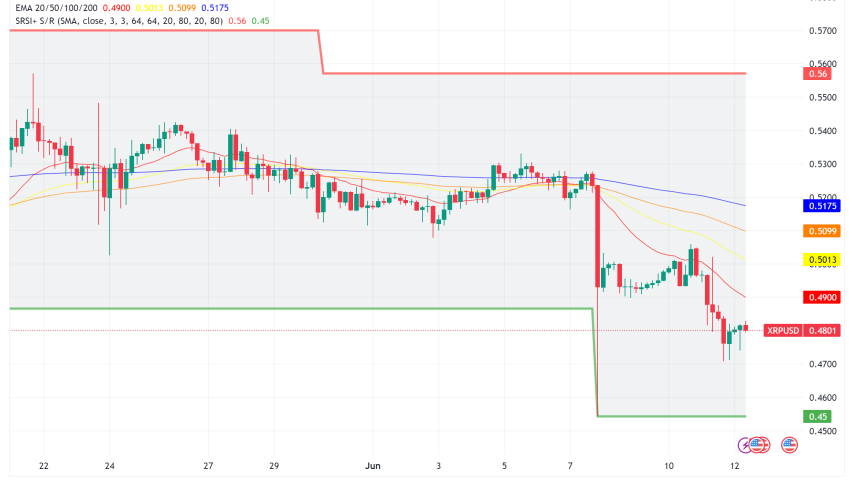 XRP Price Struggles: Whales on the Move, FOMC Meeting in Focus