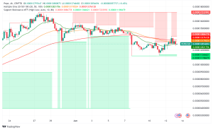 Memecoins Make a Splash Despite Market Dip