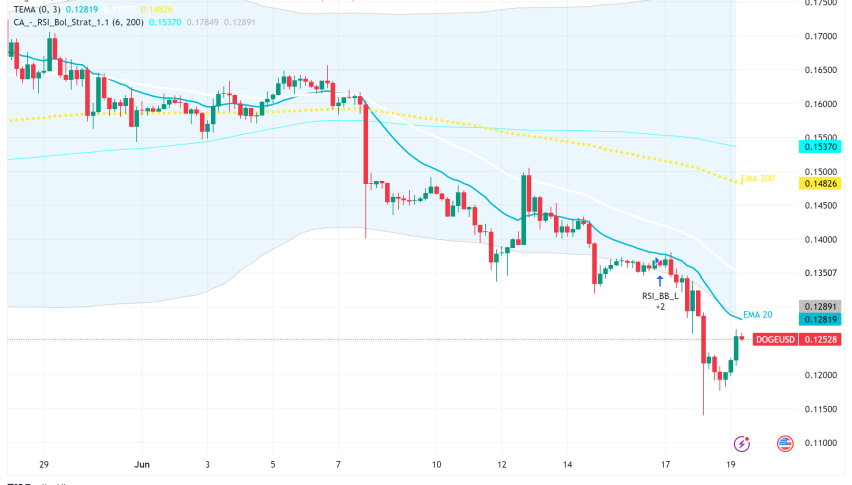 Dogecoin Whale Woes and Metaverse Muses - Can DOGE Rise Again?