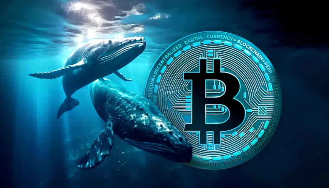 Bitcoin Wallets Transfer .18B In BTC After 14-Yr Dormancy